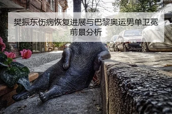 樊振东伤病恢复进展与巴黎奥运男单卫冕前景分析