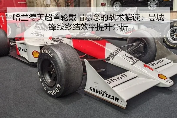 ha-lan-de-ying-chao-shou-lun-dai-mao-xuan-nian-de-zhan-shu-jie-du-man-cheng-feng-xian-zhong-jie-xiao-lv-ti-sheng-fen-xi-3-773.jpg